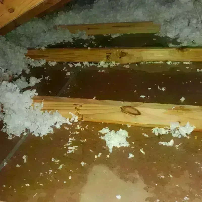 Attic Water Damage in New Castle, PA