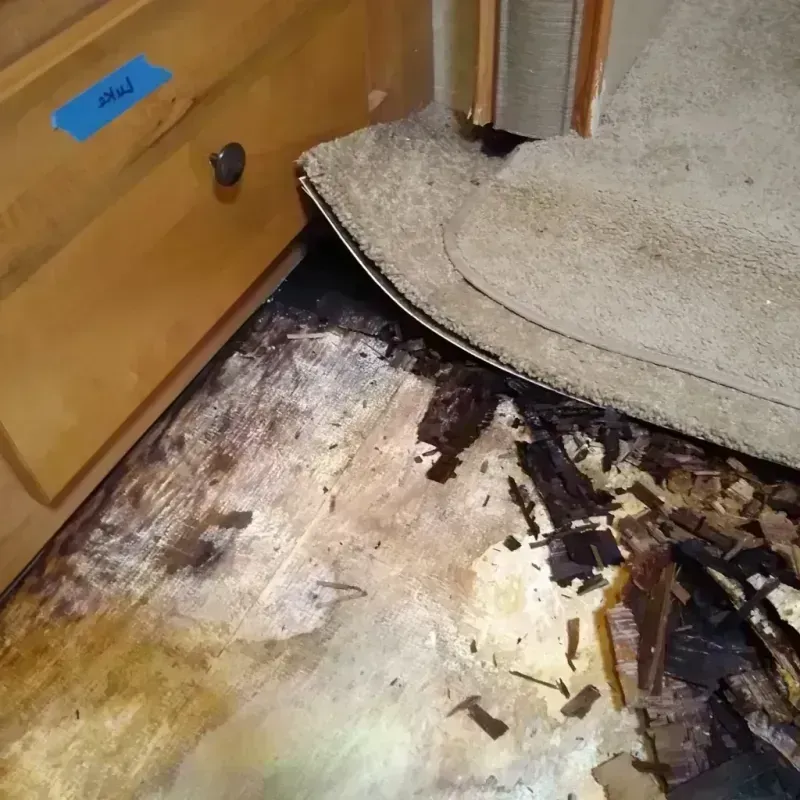 Best Wood Floor Water Damage Service in New Castle, PA